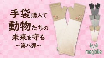 2月9日よりMakuakeにてプロジェクトを開始します